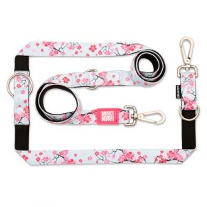 Max & Molly Laisse Multifonction pour Chien 2 m avec 2 mousquetons, Cherry Bloom/S Laisse rembourrée, sûre et Flexible – Confort pour Votre fidèle Compagnon