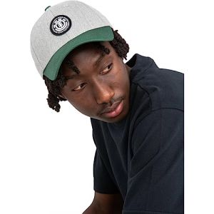 Element Casquette Treelogo 2.0 gris vert