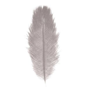 Ruedelafete Sachet de 1 Plume d'Autruche 55-60cm, Gris clair