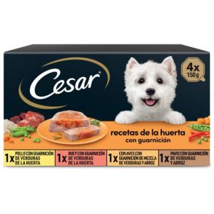 C&eacute;sar Nourriture Humide Recettes Multipack Chiens En P&acirc;t&eacute; Et Gel&eacute;e