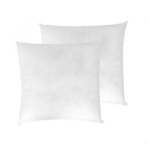 LNT - lot de 2 Coussins de Garnissage 60 x 60 cm Ultra Gonflant Coussin Canape Coussin à Recouvrir Rembourrage Coussins