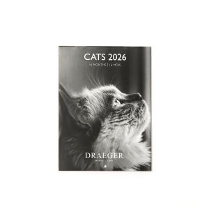 Draeger Petit Calendrier Mensuel 2026 13x18 cm - Plusieurs Styles