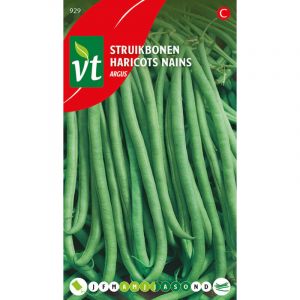 Haricots Nains Argus - Ca. 40 gr (Livraison Gratuite)