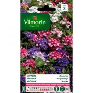 Vilmorin Sachet graines Verveine Brio vari&eacute;e