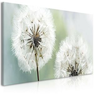 Image de Artgeist Tableau Imprimé "Fluffy Dandelions Green Wide" 45x100cm