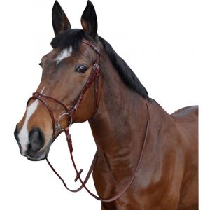 Lexington Bridons équitation atlanta rond