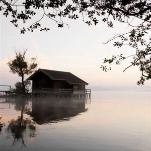 Artis Toile 65X65 Vue Sur L'Eau