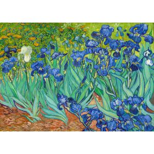 Vincent Van Gogh : Iris