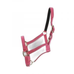 Norton clipper Licol pour cheval Doublé cuir