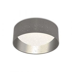 Briloner 3482014 - Plafonnier STARRY SKY LED/12W/230V gris/argent