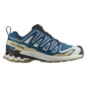 Salomon Chaussures XA PRO 3D v9 GORE-TEX bleu dor&eacute; - 42