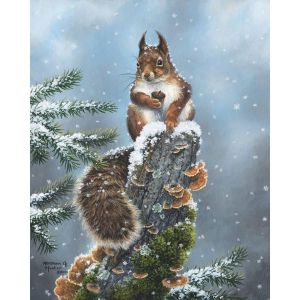 Peinture au num&eacute;ro : Ecureuil perch&eacute; - sans ch&acirc;ssis en bois
