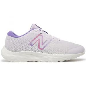 New Balance Chaussures 520v8 lilas