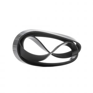 RIDEX Courroie Poly-V HYUNDAI,KIA,LAND ROVER 305P0454 60597794,60604835,VM46510586F VM46510600F,60597794,252124A410,252124A411,252124A410,252124A411