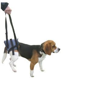 Harnais pour chien handicape - Comparer 12 offres Harnais pour chien handicape - Comparer 12 offres