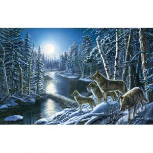 Image de Sunsout James Meger - Silent Shadows