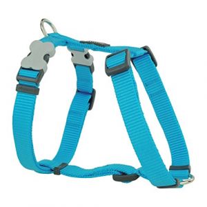 RedDingo Harnais pour Chien Turquoise Taille M