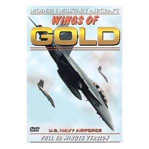 Modern Military Aircraft Wings of Gold