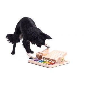 My Intelligent Dogs Jouet Chien Occupation &ndash; Jouet Interactif pour Chat et Chien - Jeu Intelligence pour Chiens, Jouet Chat Interactif pour Stimulation Mentale et Antiennui - Piano