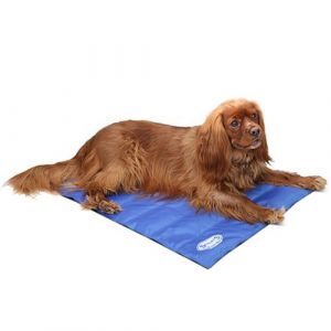 Image de Scruffs Tapis Frais, Medium, Cyan/Bleu Marine