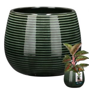 KOTARBAU Pot de fleurs rond en céramique vert foncé - Diamètre : 12 cm - Hauteur : 14 cm - 1 pièce - En céramique émaillée - 1
