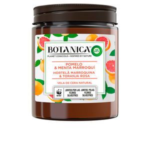 Air Wick BOTANICA VELA pomelo & menta 205 gr