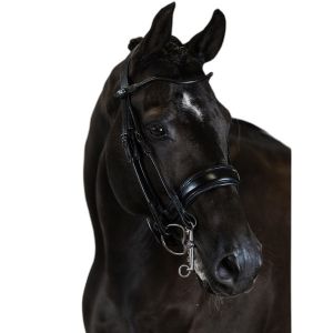 Bridon double équitation PS of Sweden Passage