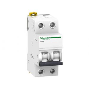 Schneider Electric Disjoncteur automatique iK60N 2P 63A Courbe C