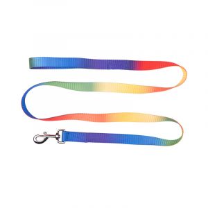 Waldhausen Longe équitation Arc-en-ciel