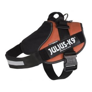 Julius K9 Harnais Power IDC 3XL : 82-115 cm-50 mm Orange cuivré