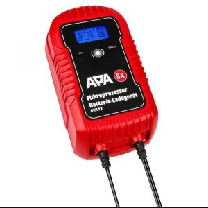 APA Chargeur De Batterie 6v &12v 8a