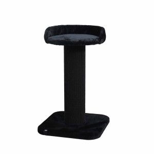 Ebi Arbre &agrave; chat Sydney