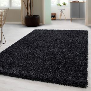 Carpetsale24 Uni Tapis de Salon Shaggy Uni Tapis Anthracite 120x170 cm Chambre Tapis Poil Long Moelleux et Doux