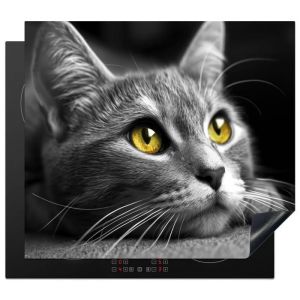 PROTECTION PLAQUE INDUCTION Chat - Gris - Animaux - Chat Plaque de Deco Cuisine 60x52 cm
