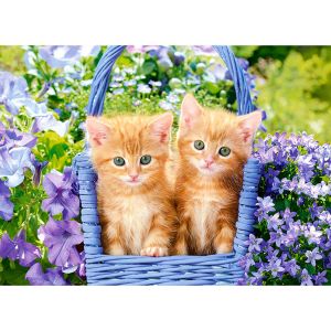 Image de Castorland Puzzle 70 pièces : Chatons Roux