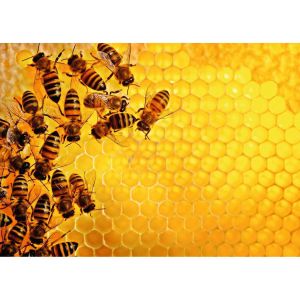 Ravensburger Puzzle 1000 pièces - Challenge Puzzle : La ruche aux abeilles