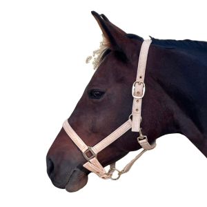 Licol pour cheval Canter Malibu