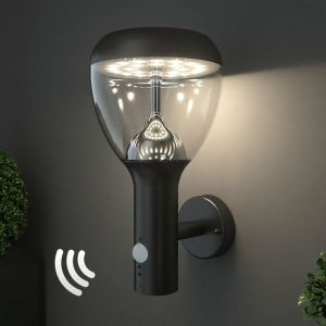 Lumihome Applique Led solaire Luna noire avec détecteur de mouvements