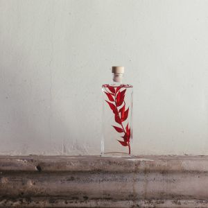 Th&eacute;ophile Berthon Plante immerg&eacute;e Ruscus rouge H17