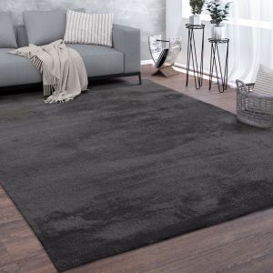 Paco Home Tapis, Tapis &Agrave; Poils Ras Doux Pour Salon, Moelleux, Lavable, Gris Fonc&eacute; 160x220 cm