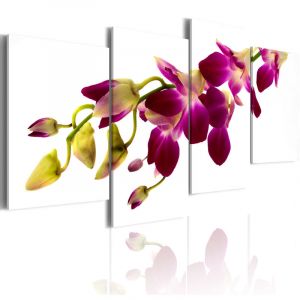 Artgeist Tableau Imprimé "Eclat D'une Orchidée" 45x80cm