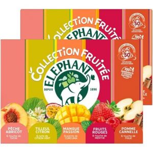 Lipton ELEPHANT - Lot de 2 Coffret D&eacute;couverte Infusions Parfum&eacute;es - 2 x 50 sachets