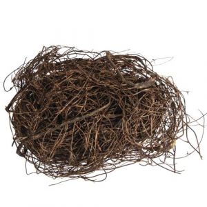Rayher Brindilles nid d’oiseau, brun, 1 sachet, 50g, Mühlenbeckia naturelle séchée, arts créatifs, art floral, décoration, Pâque-65395000