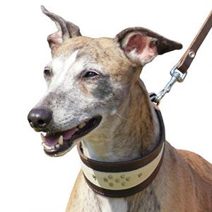 Dingo 12403 Collier en Cuir Souple pour Chien Whippet et Arme