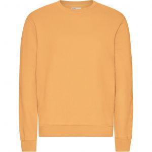 Pull Colorful Standard Classic Organic Sandstone Orange