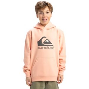 Quiksilver Pull en Polaire BIG Logo Hoodie Youth Rose 12
