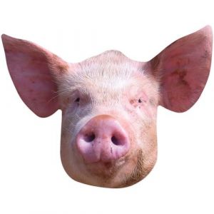Star Cutouts SM443 Masque de cochon en carton &ndash; Superbe sujet de conversation &ndash; Si r&eacute;aliste