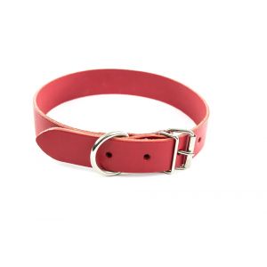 C.F. Martin & Company Coll cuir 14-36cm rouge