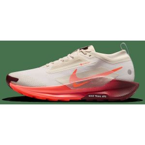 Nike Pegasus Trail 5 GTX - homme - Beige