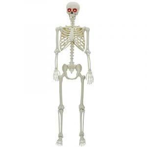 VidaXL Squelette D'halloween Réglable Blanc 155 X 38.5 Cm Plastique
